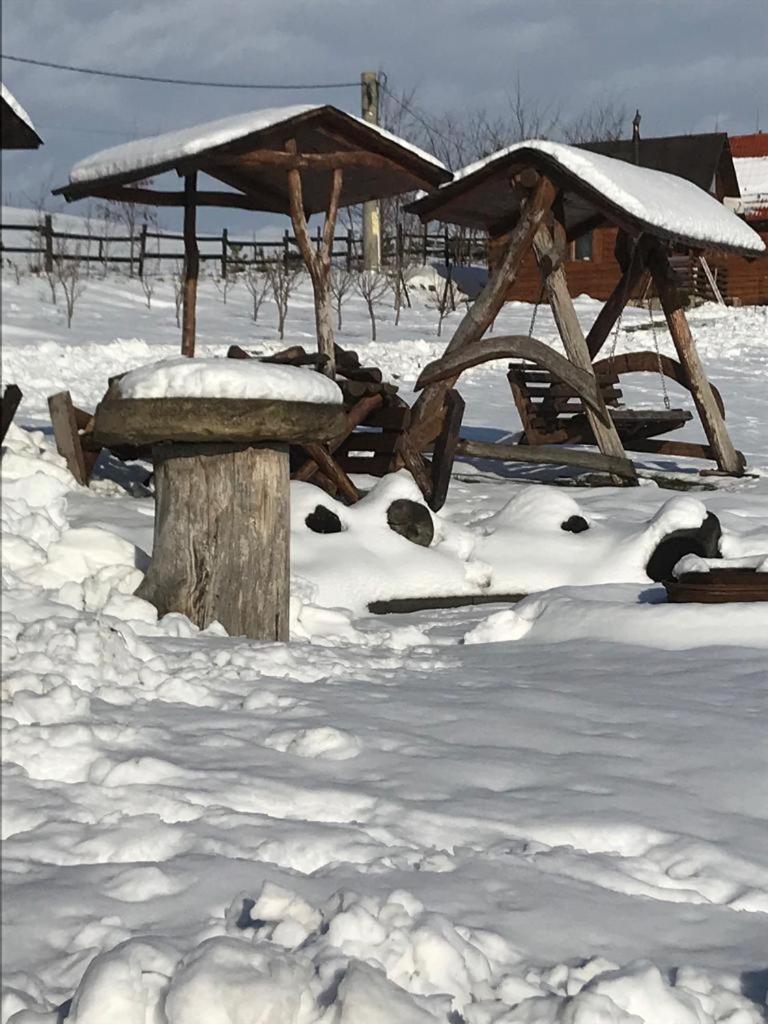 Pensiunea Cheile Apusenilor Sandulesti Extérieur photo
