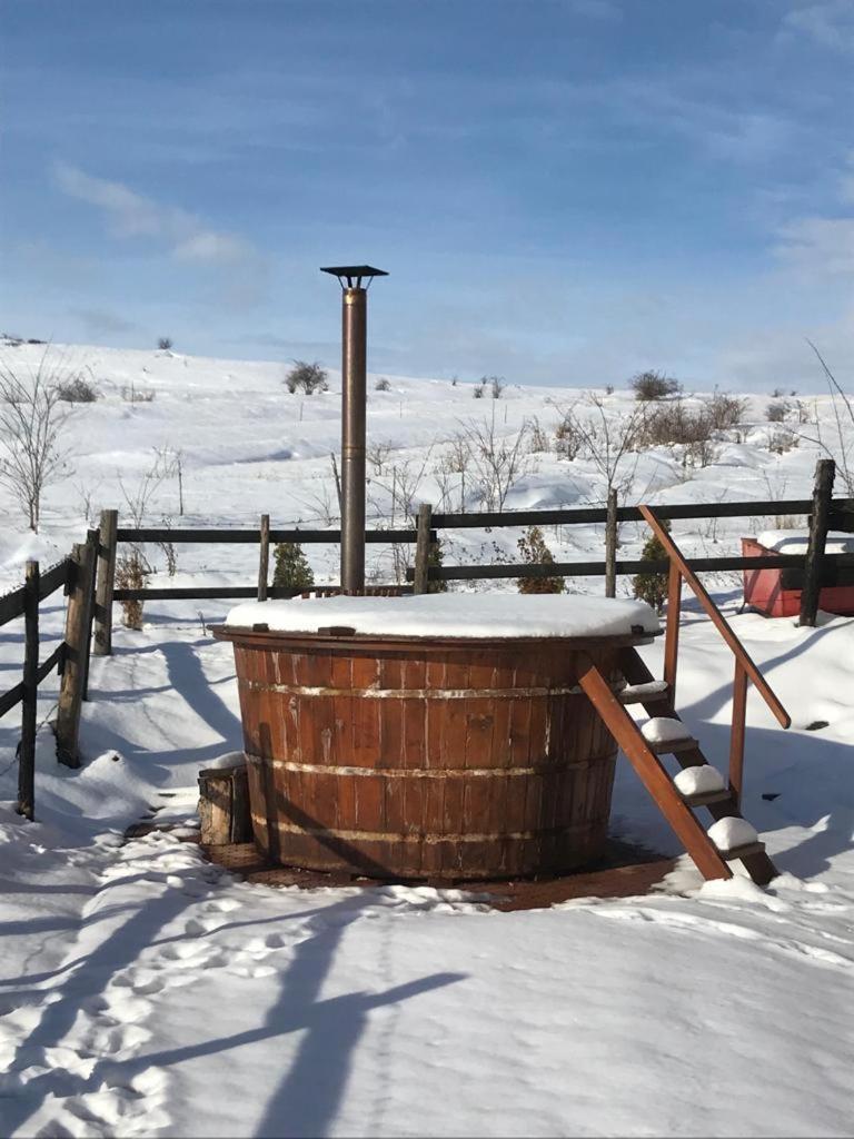 Pensiunea Cheile Apusenilor Sandulesti Extérieur photo